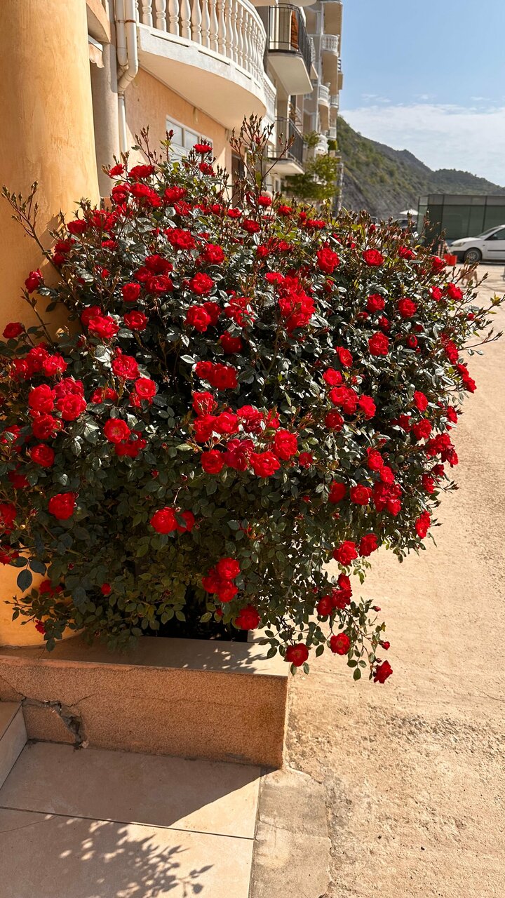 Гостевой дом Морской Берег Рыбачье-42