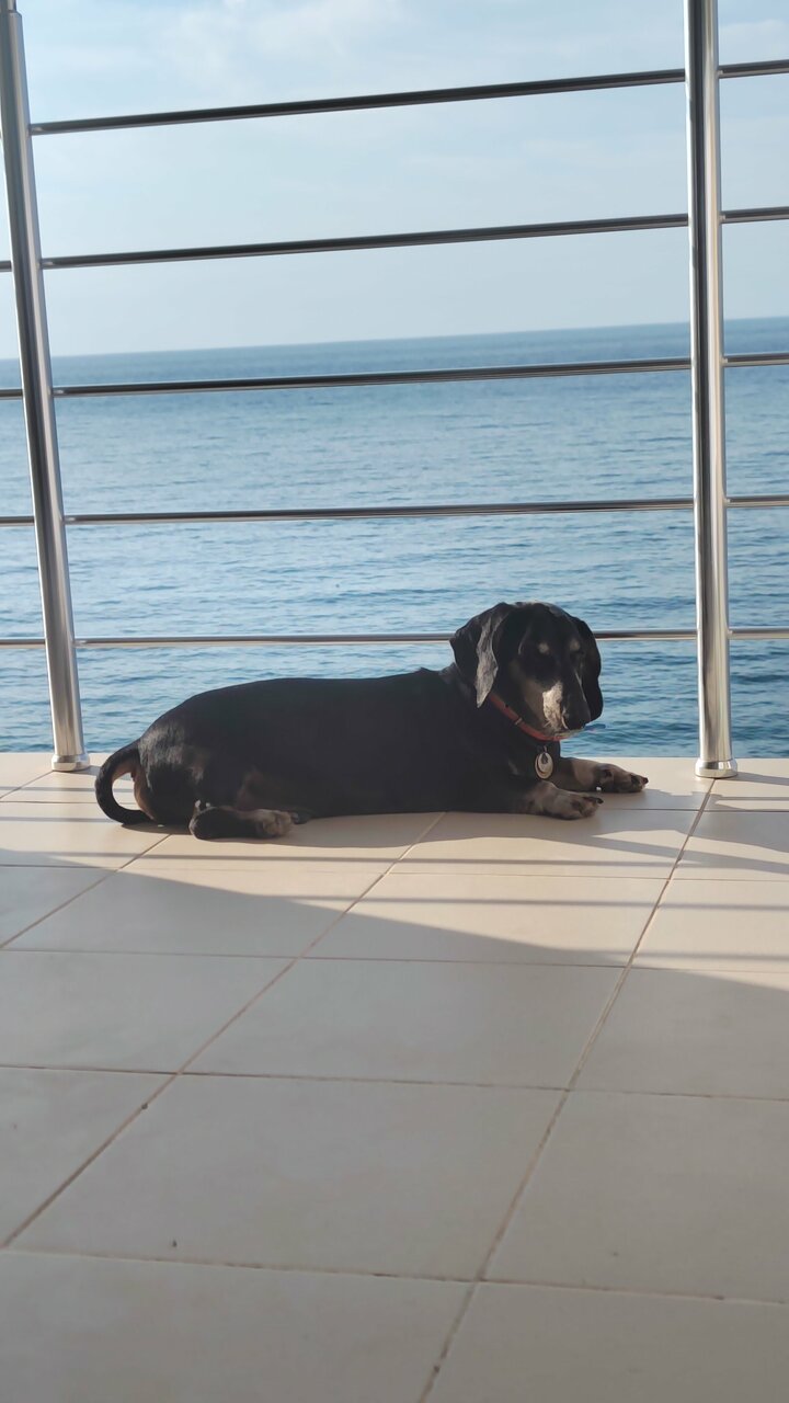 Гостевой дом Морской Берег Рыбачье-59