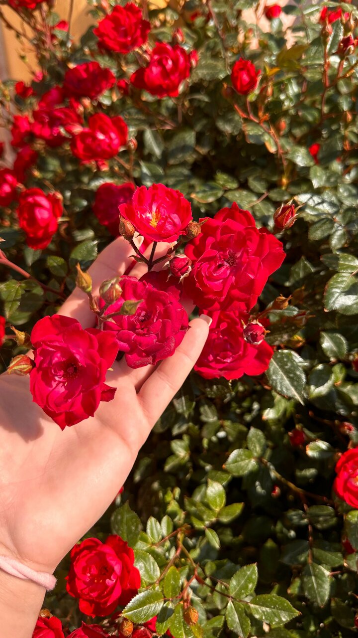 Гостевой дом Морской Берег Рыбачье-80