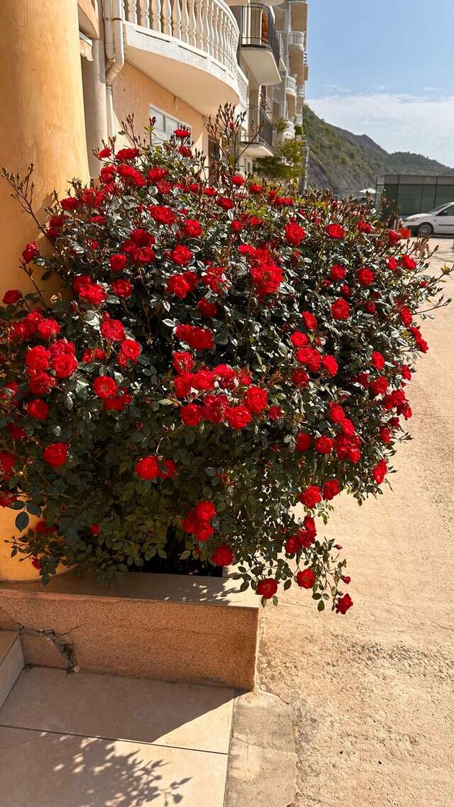 Гостевой дом Морской Берег Рыбачье-41