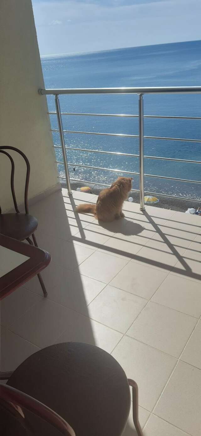 Гостевой дом Морской Берег Рыбачье-75